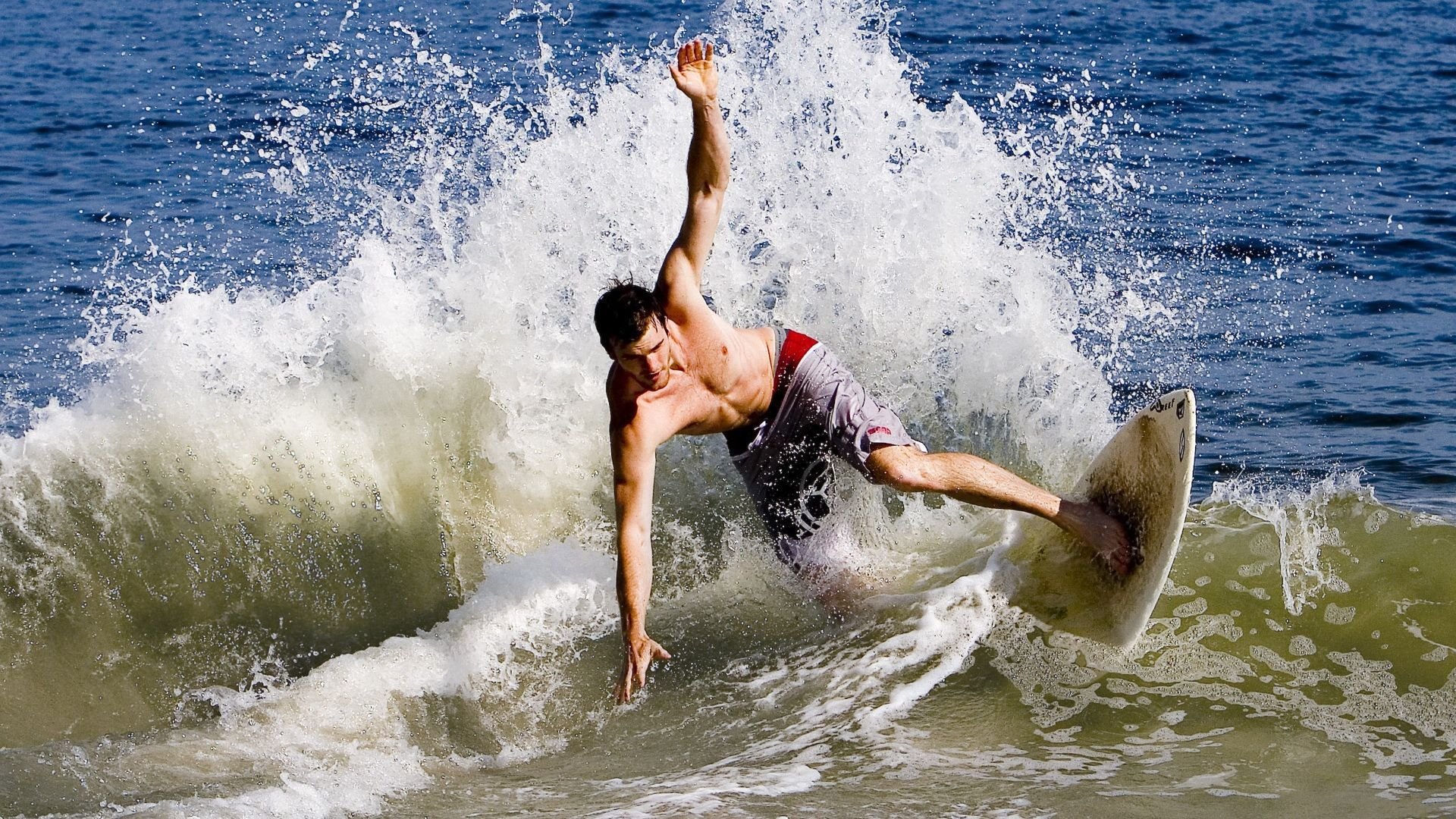 爱游戏电竞官网-TES队员参与“职业体育身份认证工程”