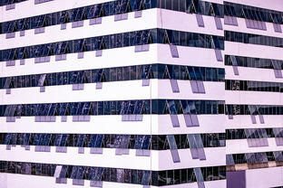 AYX体育-体育赛事风险管控体系建设，体育赛事风险防范